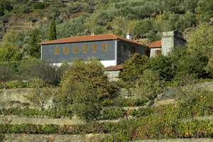 The Douro Valley, Portugal